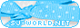 'S J �� W O R L D ♥